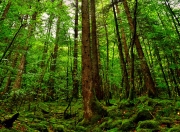 开云体育APP下载-跨界接管，湖人轻取尼克斯 利拉德F1揭幕战制霸