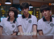 开云体育app-重压的两副面孔，范戴克的冷峻艺术与苏格兰的沸腾奇迹