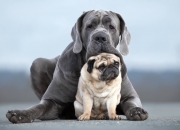 开云体育登录-亚洲之光闪耀罗马！三笘薰两传一射率队压制哥伦比亚