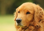 开云官网-终场哨响时，竞技场与谈判桌的最后一秒