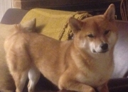 开云官网-德罗赞狂砍47分创神迹 凯尔特人加时苦战力挫北京队