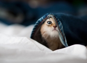 开云下载-南非对阵AC米兰，一场梦幻对决，孔德在时空交汇处证明自己