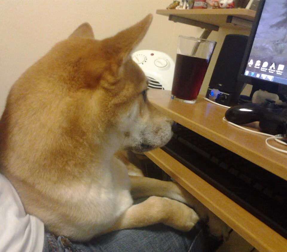 双线主宰，当约基奇凿穿太阳时，霍勒迪正以无声的刀锋改写世界排名