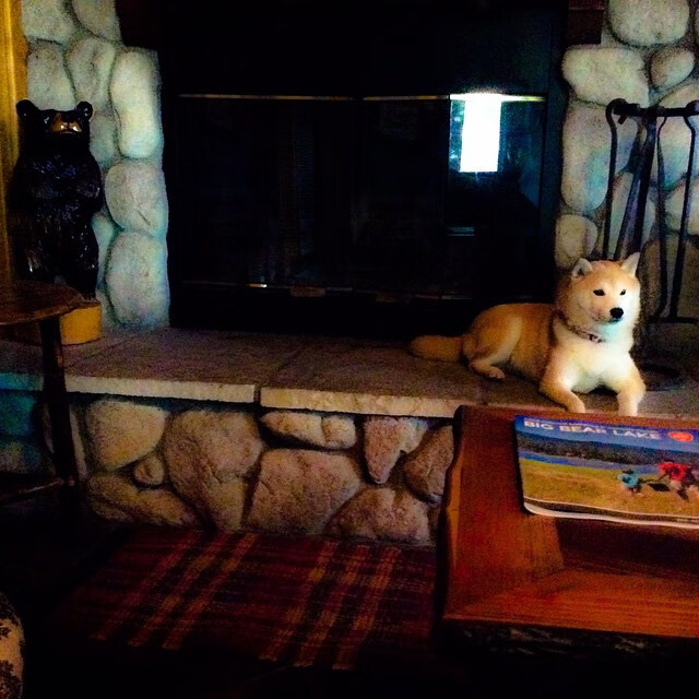 德甲争冠战之夜,马丁内利全场最佳无争议,一己之力改写冠军归属