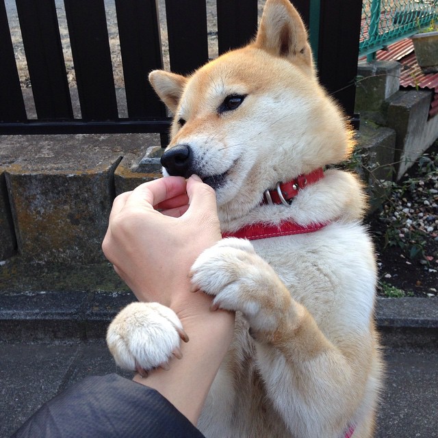 首尔之夜,阿劳霍的黄金一击,韩国如何撕碎马德里竞技的铁血防线