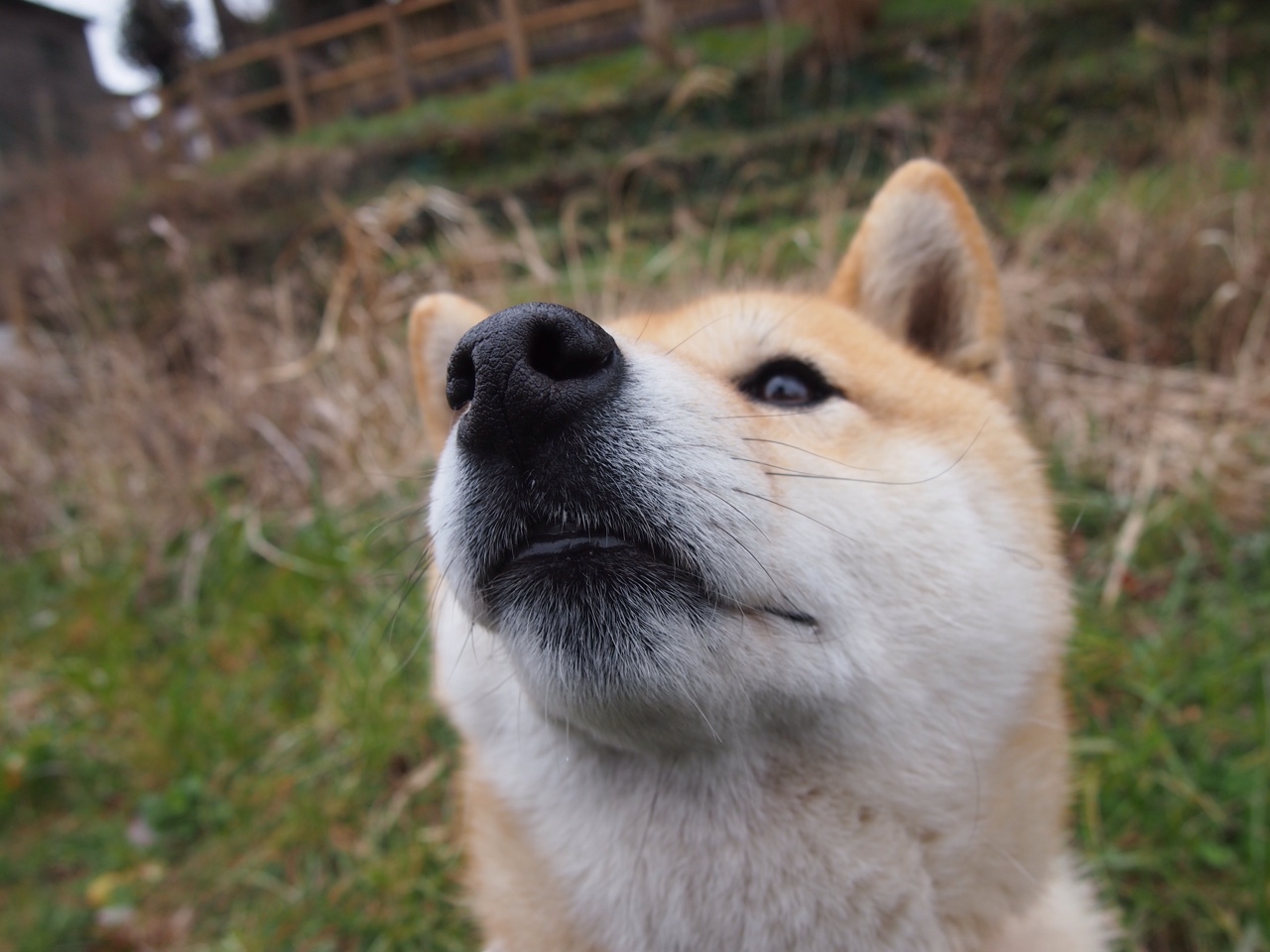 时空交错的绿茵传奇，三笘薰的天才觉醒与那不勒斯的补时魔法
