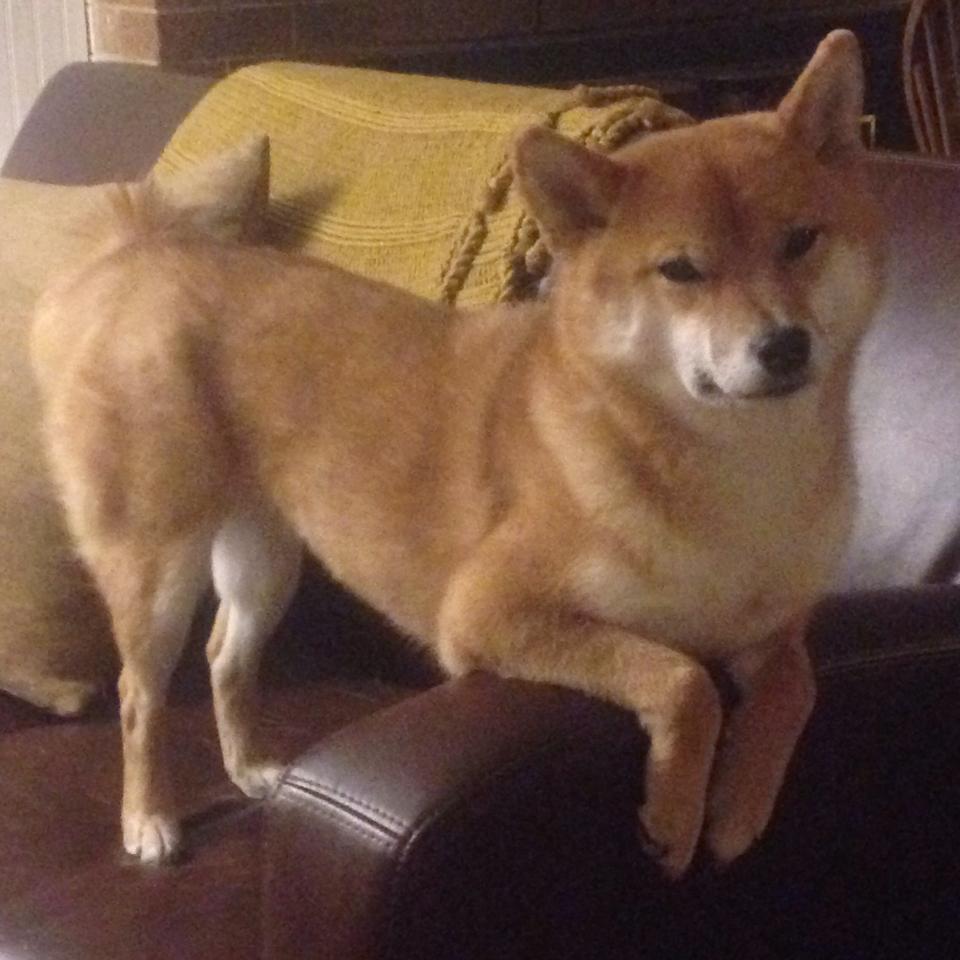 德罗赞狂砍47分创神迹 凯尔特人加时苦战力挫北京队