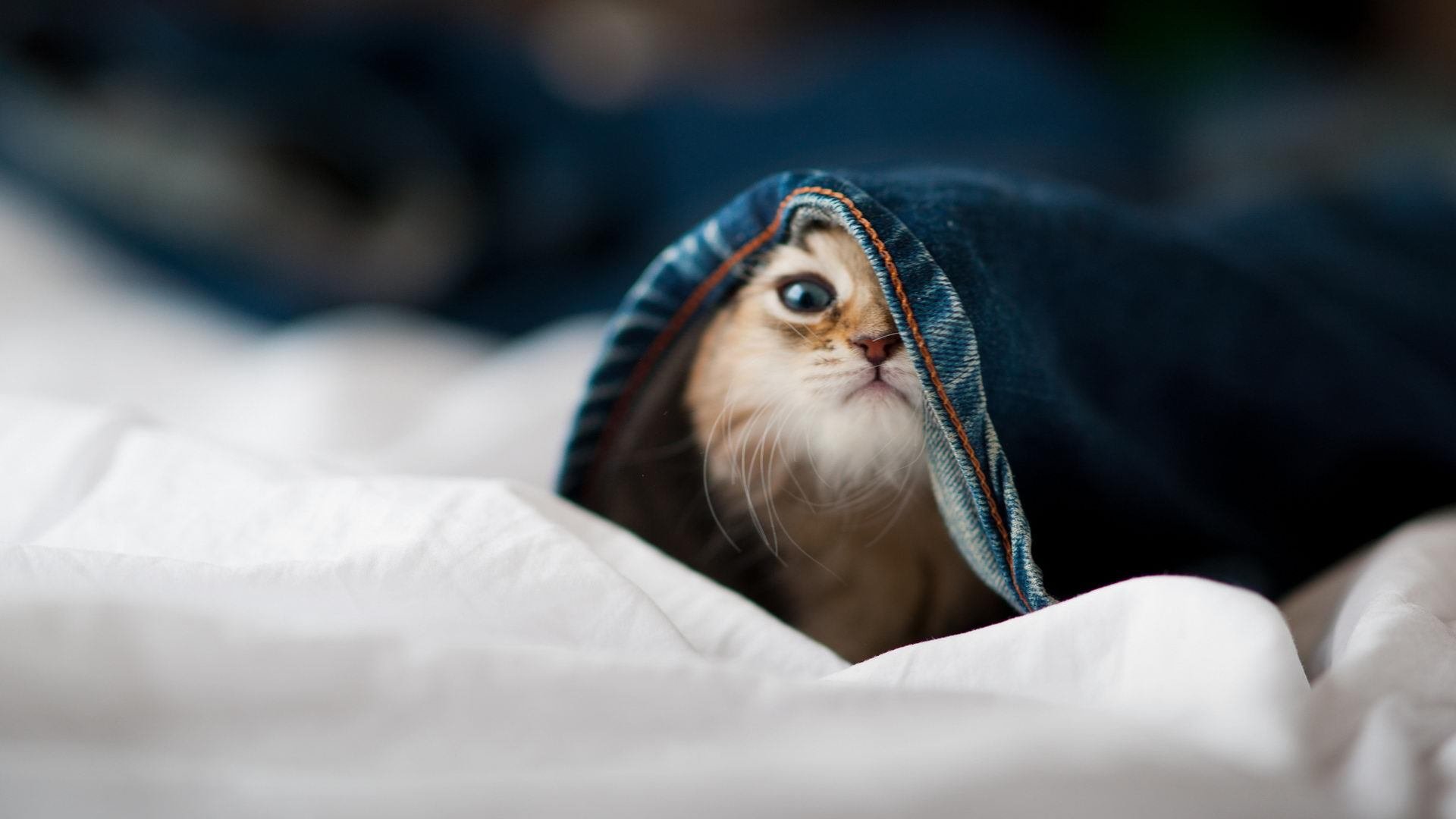 南非对阵AC米兰，一场梦幻对决，孔德在时空交汇处证明自己