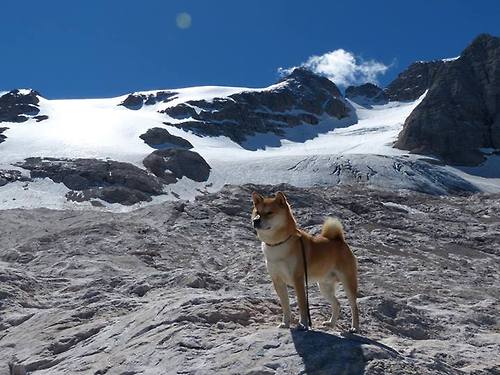 唯一性双星闪耀，本泽马的无解迷宫与丹麦的完美拼图