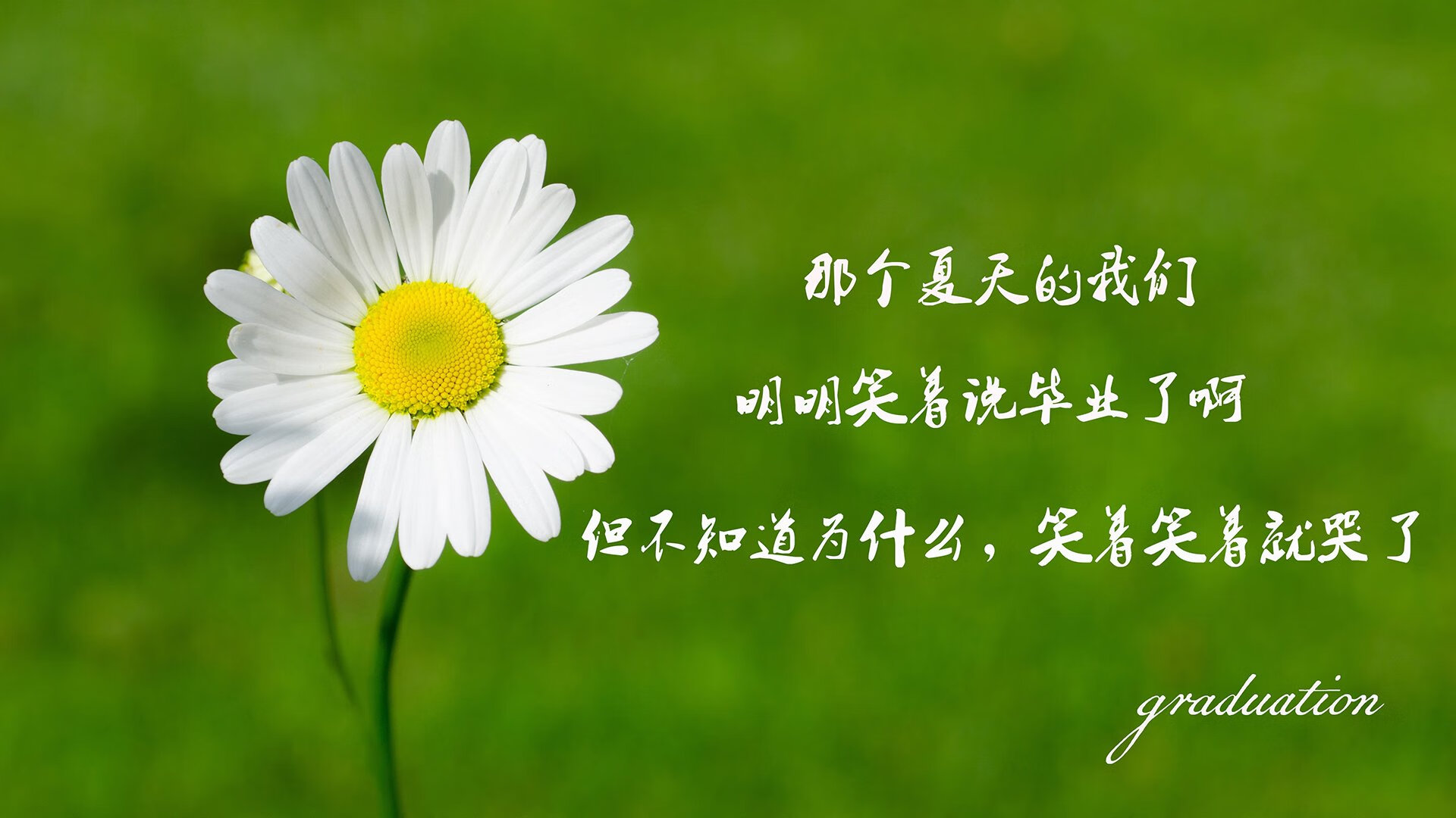 一夜定乾坤，2026世界杯H组关键战，匈牙利逆转秘鲁，迪亚斯用战术智慧书写唯一性传奇