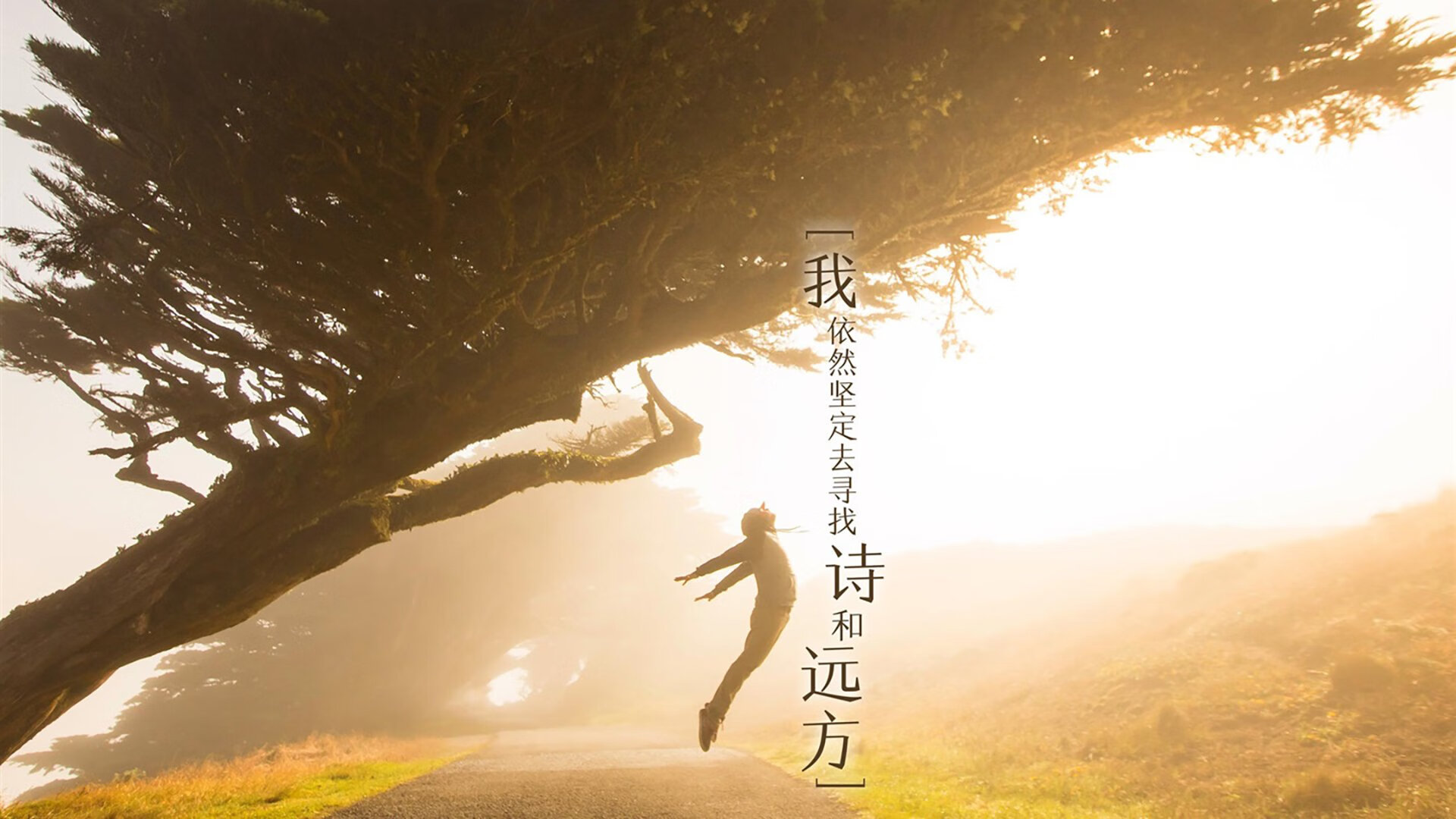 沙漠绿洲的午夜风暴，2026世界杯F组，智利以意志破局，格列兹曼点亮中场之光